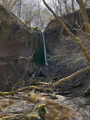 a waterfall on the side of a river with trees at Keller Höhe in Andernach