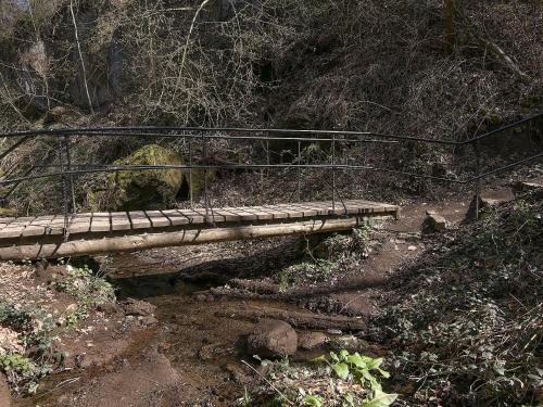 a wooden bridge on a dirt trail in the woods at Keller Höhe in Andernach