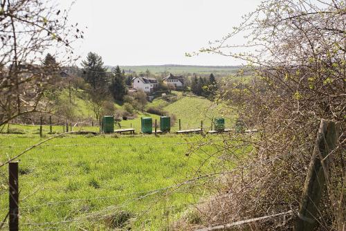 a fence in a field with a field of grass at Keller Höhe in Andernach