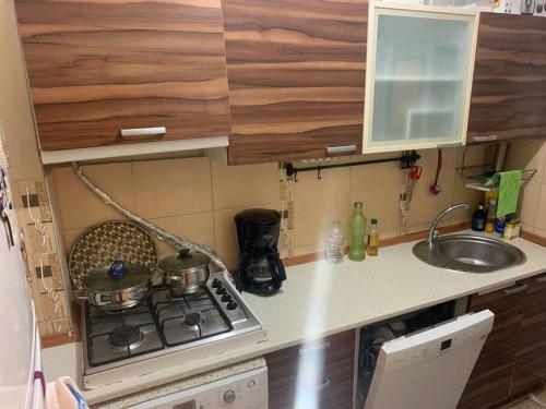 Il comprend une petite cuisine équipée d'une cuisinière et d'un évier. dans l'établissement Cosy and fully furnished 2 bedroom apartment, à Istanbul