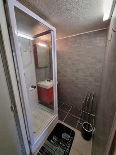 La petite salle de bains est pourvue d'une douche et d'un miroir. dans l'établissement Cap d'Agde-Richelieu-Résidence Delphéapolis, au Cap d'Agde