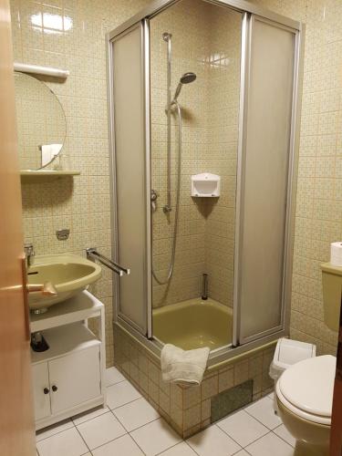 a bathroom with a shower and a sink at Gästehaus Vinum Doppelzimmer in Leiwen