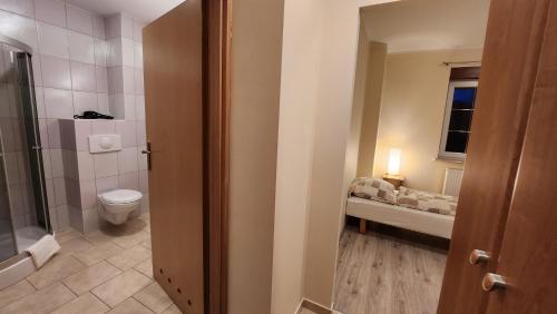 a bathroom with a toilet and a sink and a window at Willa Sielanka in Karpacz