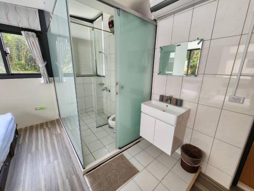 a bathroom with a shower and a sink and a toilet at 念念Nian Nian Taomi Inn in Puli