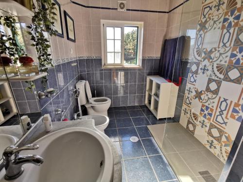 a bathroom with two toilets and a sink and a tub at Casa Colina Troviscainho in Sertã