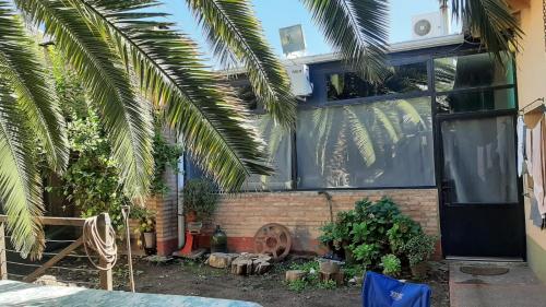 a house with a palm tree in front of it at Loft Salta in Bahía Blanca