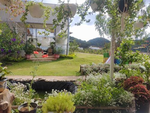 a garden with flowers and plants in a building at Amikaje Farm in Xuan An