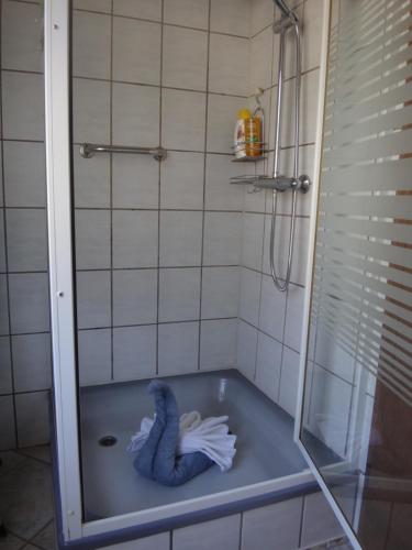 a bathroom with a shower with a blue bath tub at Haus Eifelinchen in Schleiden