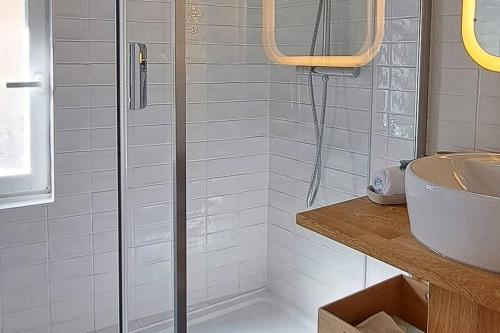 a bathroom with a shower and a sink at LE PLUMEREAU Appartement historique Vieux Tours avec parking in Tours