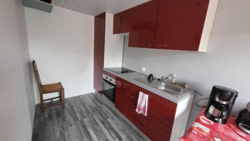eine kleine Küche mit roten Schränken und einem Waschbecken in der Unterkunft Bienvenue chez les GIBBS! in Sury-en-Vaux
