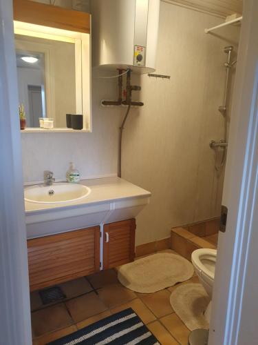 uma casa de banho com um lavatório, um espelho e um WC. em Damsbo hytten em Brenderup