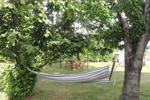a hammock hanging between two trees in a yard at Agriturismo Il Cavallino Saturnia in Semproniano