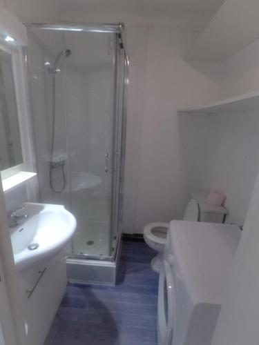 une salle de bain avec une douche, des toilettes et un lavabo dans l'établissement Grand studio cosy à 300m de la mer avec parking, à Canet