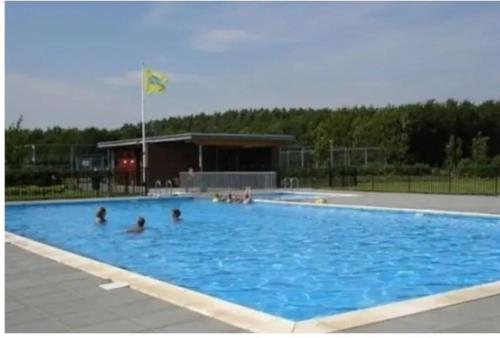 a group of people in a large swimming pool at Gastehuisie Lekkerslaap in Zeewolde