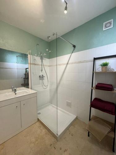モサーヌ・レ・ザルピイユにあるL’Oustau de Céliaのバスルーム(シャワー、シンク付)