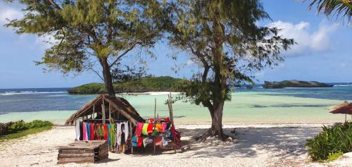 una cabaña en una playa con árboles y el océano en DREAM HOUSE en Watamu