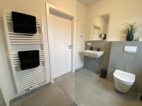 een badkamer met een wit toilet en een wastafel bij Ferienwohnung Nahe der Nordsee in Hemmingstedt