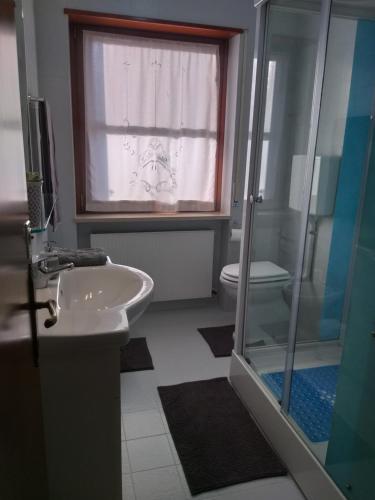 La salle de bains est pourvue d'un lavabo, d'une douche et de toilettes. dans l'établissement B&B DA ROBERTINO, à Tricesimo