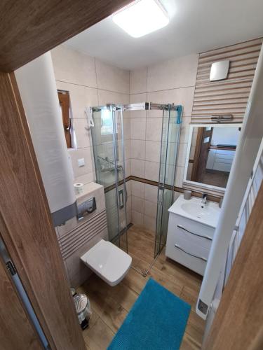 a bathroom with a shower and a toilet and a sink at Domki luksusowe Kapitan in Ustronie Morskie