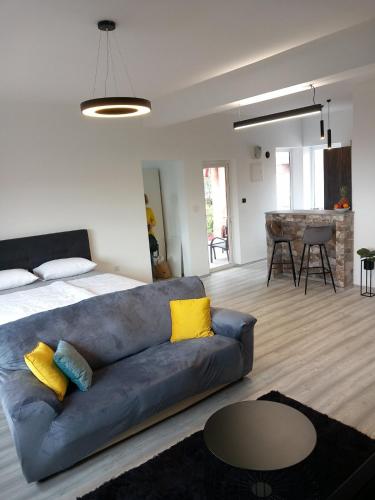 Apartman ANI