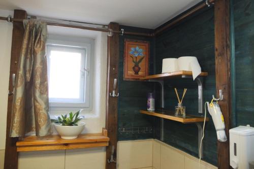 ein Badezimmer mit grünen Wänden, einem Fenster und Regalen in der Unterkunft Muskátli Vendégház in Szeged