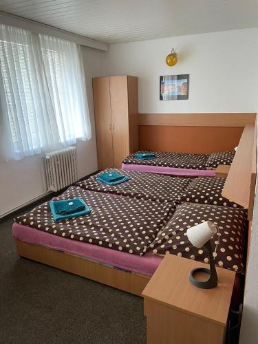 two beds in a small room with two blue trunks at Penzion Valeš in Borovany