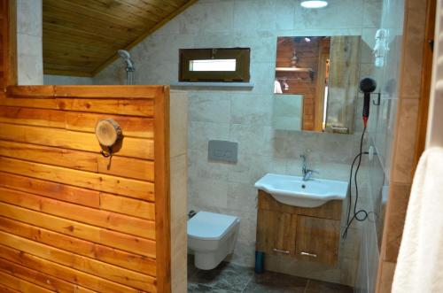 Trabzon green valley villa في طرابزون: حمام مع مرحاض ومغسلة