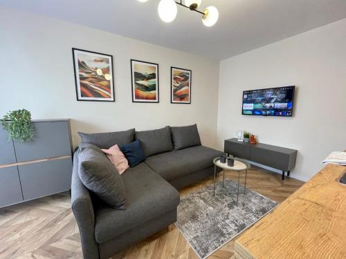a living room with a couch and a tv at Przytulny Apartament niedaleko Radomskiego Centrum Sportu in Radom