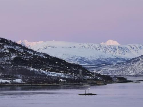 a island in the middle of a lake with snow covered mountains at Loghouse apartment in arctic wonderland! in Kvaløya