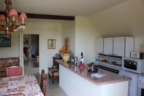 cocina con encimera y comedor en Apartment Route du Vin Centre Alsace, en Orschwiller