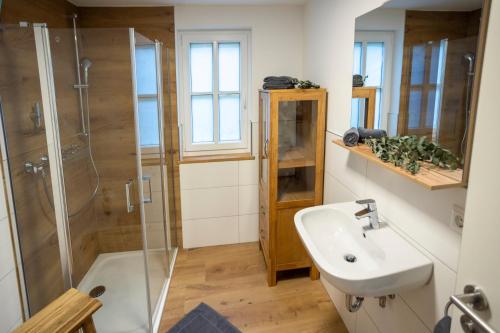uma casa de banho com um lavatório e um chuveiro em Concordia33 - Traumferienwohnung an der Regnitz em Bamberg