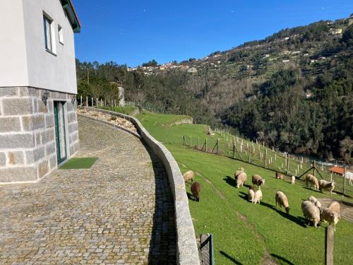a group of sheep grazing on the grass next to a building at Quinta de Varzielas - Agroturismo in Castelo de Paiva