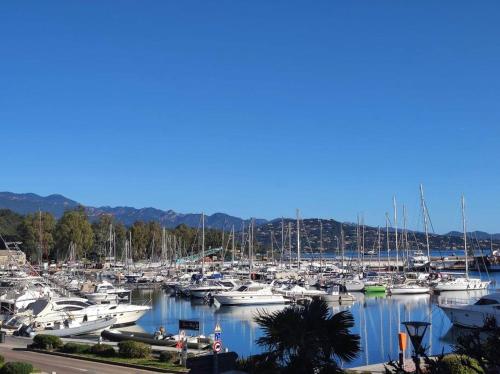 Appartement sur le port Résidence Marina Palmu