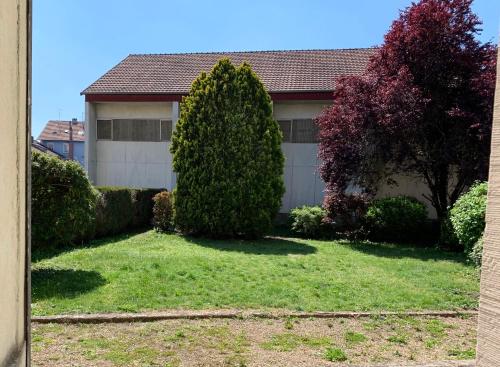 a house with a tree in front of a yard at Appart'Hotel Le Tilleul - NETFLIX, JARDIN ET FIBRE OPTIQUE in Belfort
