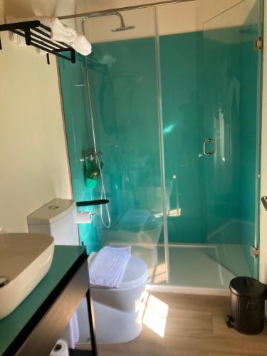 a bathroom with a toilet and a glass shower at Quinta de Varzielas - Agroturismo in Castelo de Paiva