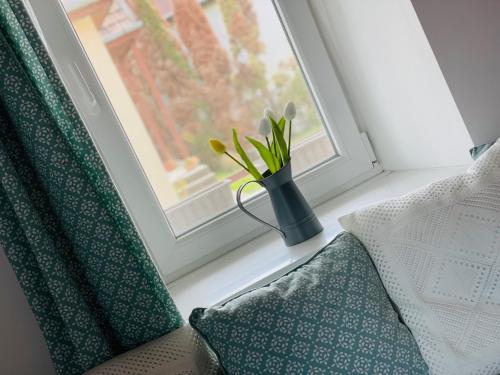 a vase with flowers sitting on a window sill at Twin Pines Apartment in Egerszalók
