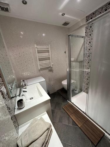 a bathroom with a shower and a sink and a toilet at Apartment Kosović in Dubrovnik