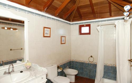 a bathroom with a toilet and a sink and a shower at Casa Rural Tía ilia in Puntallana