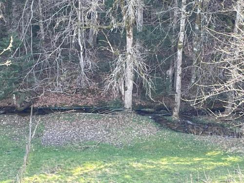 Auberge de la dorette – Photos 3