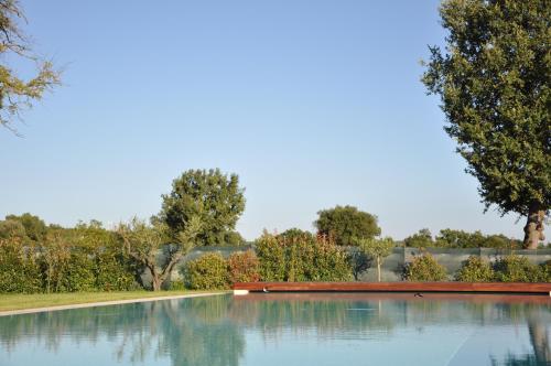 a pool of water with trees in the background at Ca' Matra in Lama