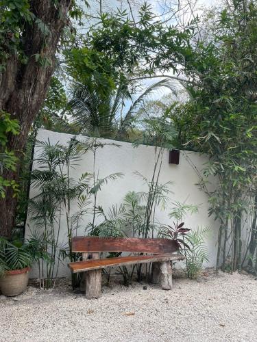 Κήπος έξω από το Hotel Diosa del Agua Bacalar