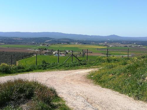 a dirt road in a field with a fence at 10 da Muralha in Estremoz