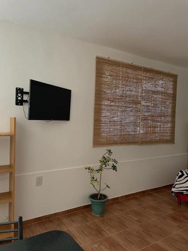 una habitación con TV en una pared con una planta en El Rosario en Pocito