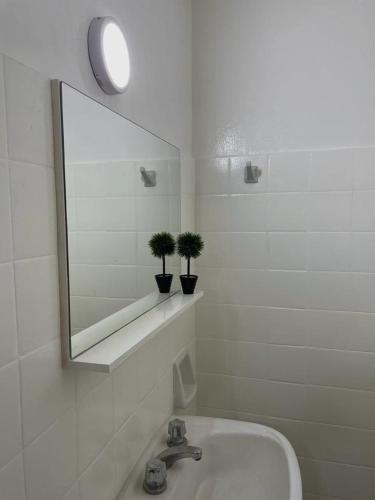 baño con lavabo, espejo y 2 plantas en El Rosario en Pocito