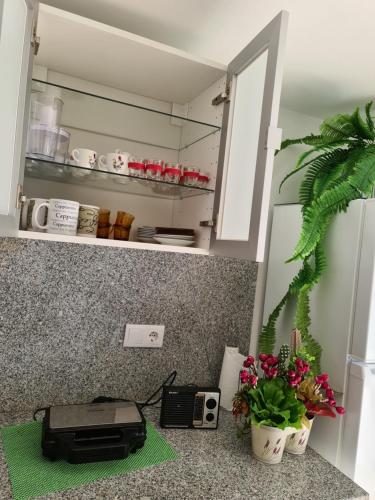 eine Küchentheke mit Radio und Blumen darauf in der Unterkunft Casa Maria da Eira in Arcos de Valdevez