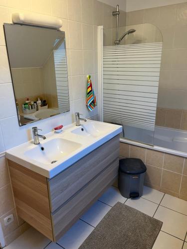 een badkamer met een wastafel en een spiegel bij Chambres dans maison familiale in Le Mans