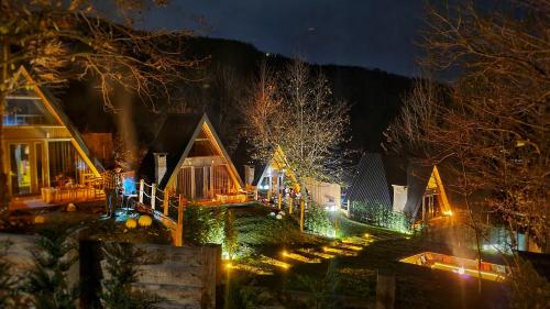 a house decorated with christmas lights at night at Loca Sapanca Bungalov in Sapanca