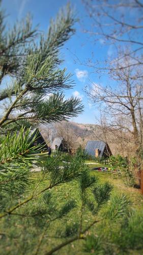 a group of houses in a field with trees at Loca Sapanca Bungalov in Sapanca