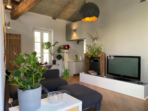 都靈的住宿－TOURinTURIN appartamento in Torino centro，客厅配有平面电视和沙发。