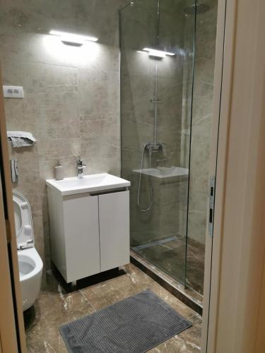 a bathroom with a shower and a sink and a toilet at Zemun blue star in Zemun